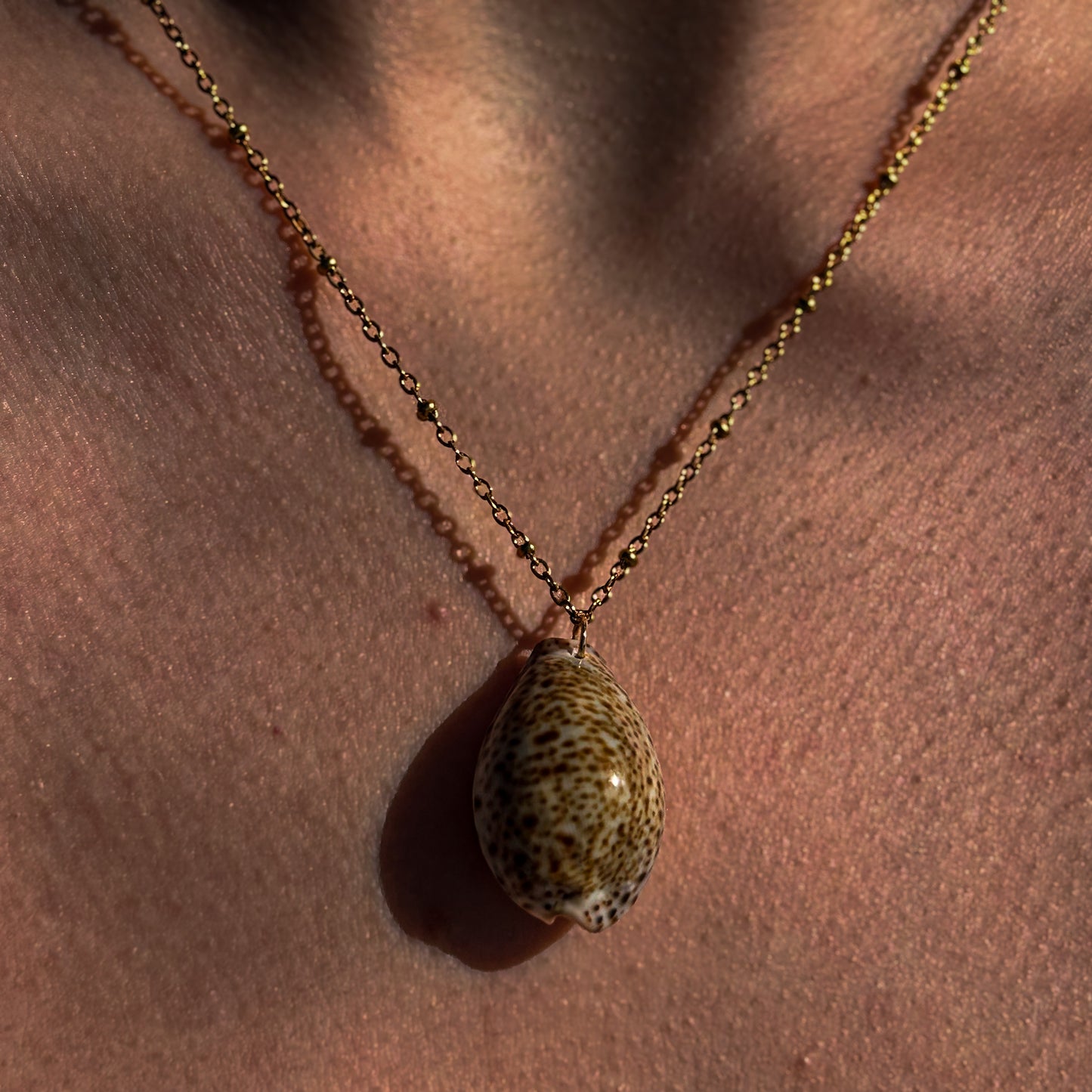 Cowrie Satellite Necklace