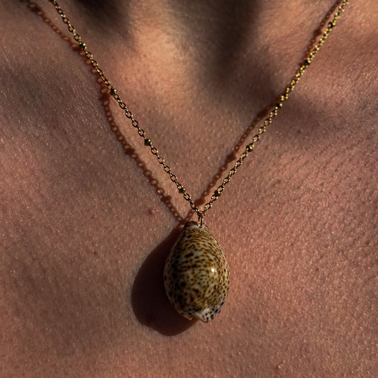 Cowrie Satellite Necklace
