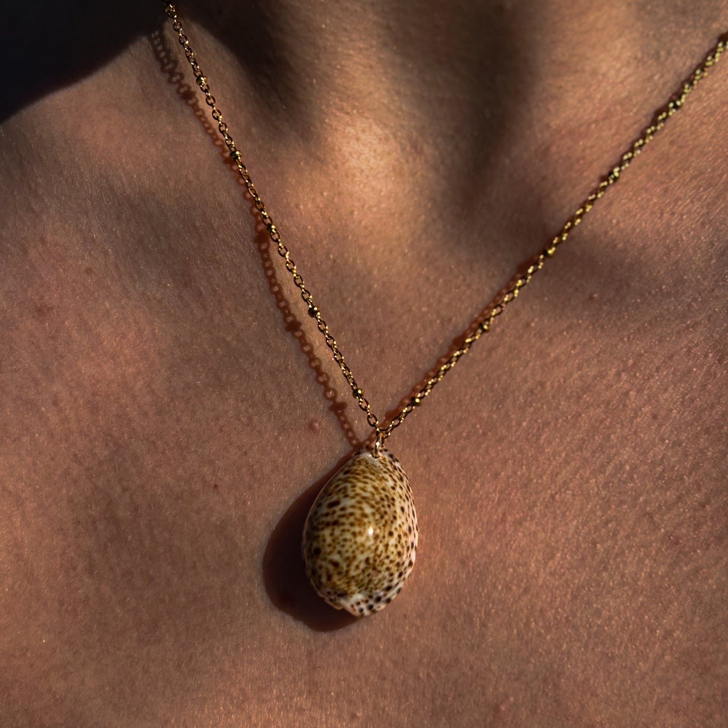 Cowrie Satellite Necklace