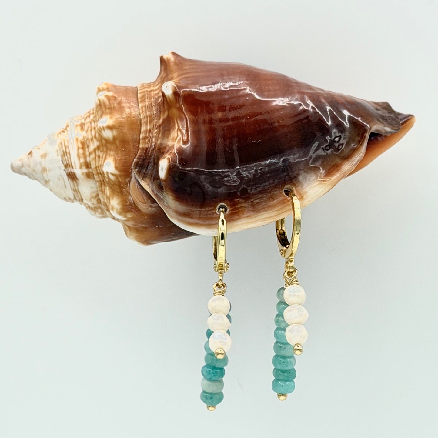 Bay Hoop Earrings
