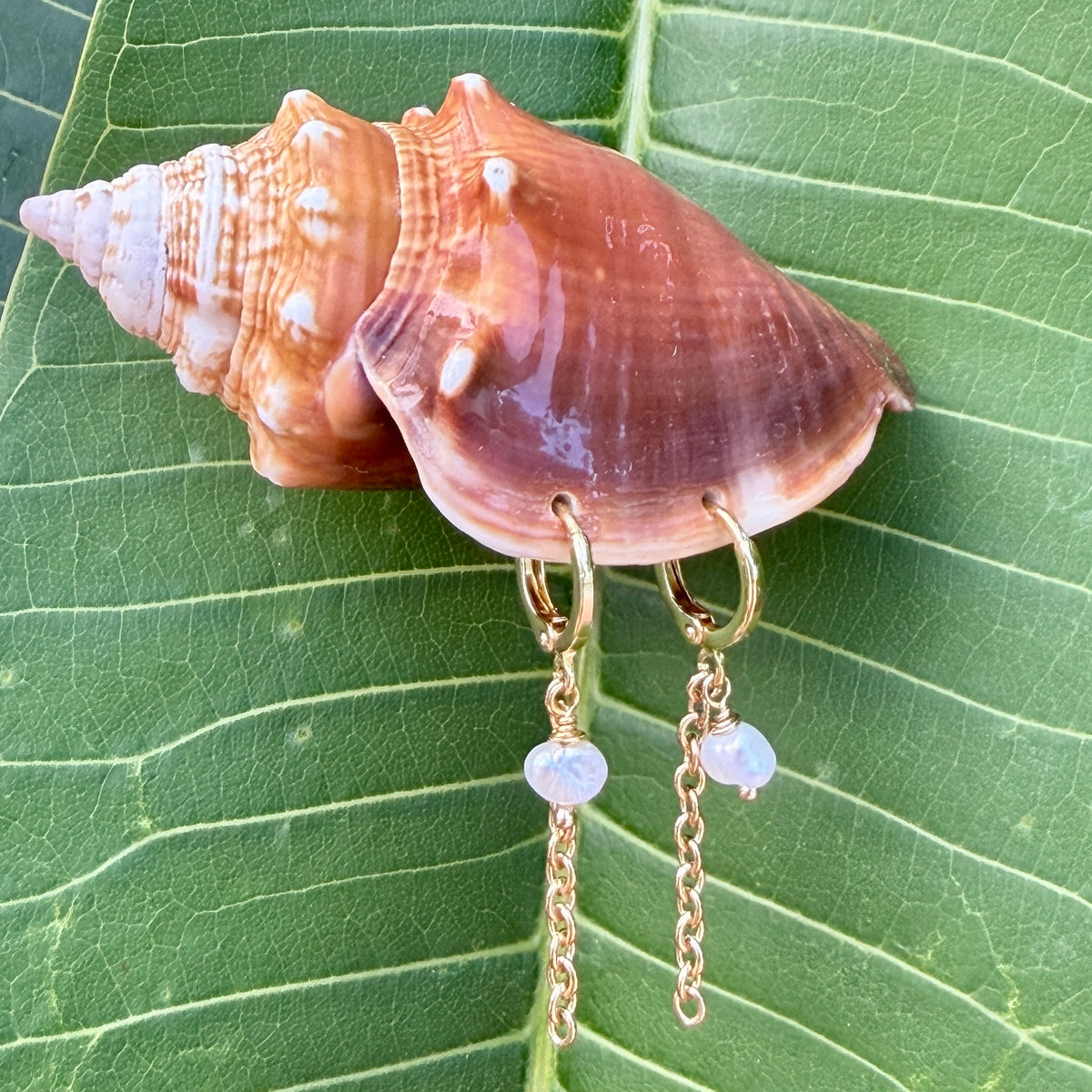 Dune Hoop Earrings