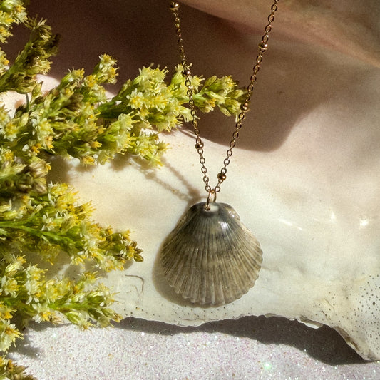 Gray Scallop Necklace