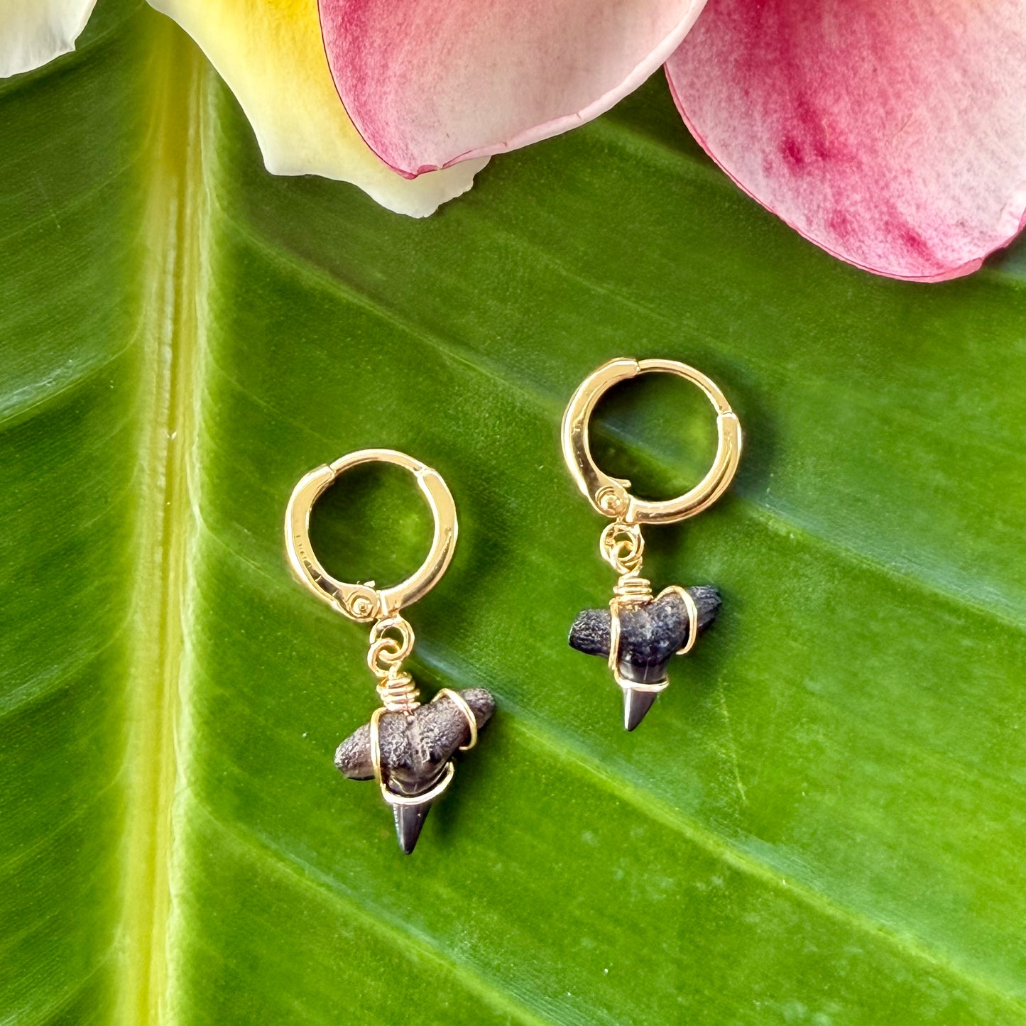 Shark Hoop Earrings